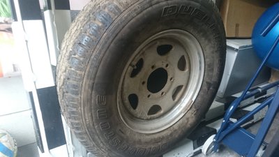 DSC_0006_1.JPG
