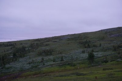 DSC07746_rs.jpg
