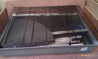 IMAG0837.jpg