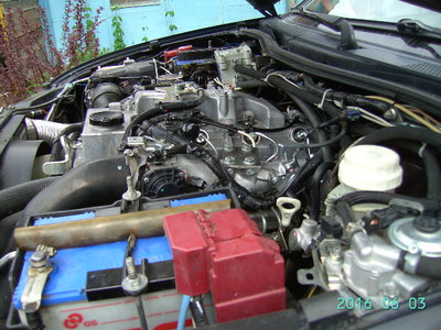 PICT3953.JPG