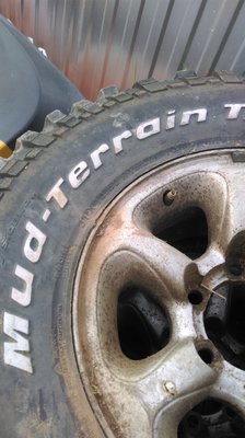 IMAG0596.jpg