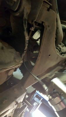 20160610_132915.jpg