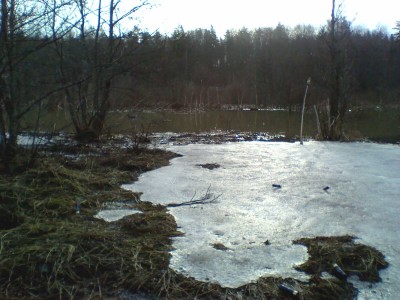 110416-0903.jpg