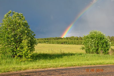 DSC_0131.JPG