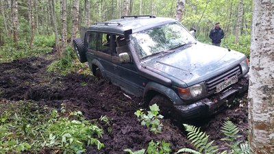 DSC_3533.JPG