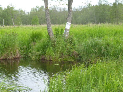 P1030157.JPG