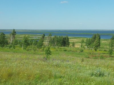 2016-06-14 16.35.10.jpg