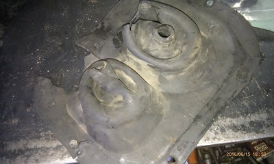 IMAG0886.jpg