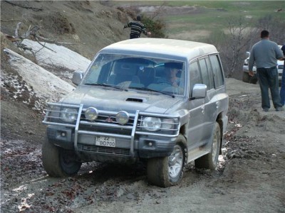 Кингурятник.jpg