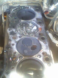 IMG0230A.jpg
