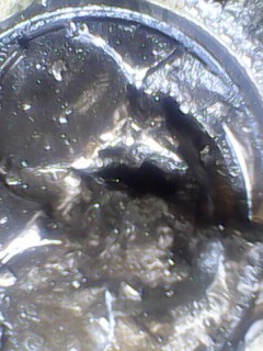 IMG0231A.jpg