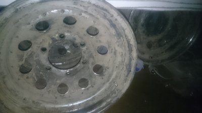 DSC_1440.JPG
