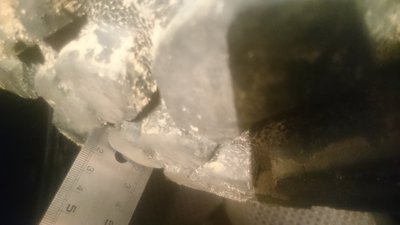 DSC_1431.JPG