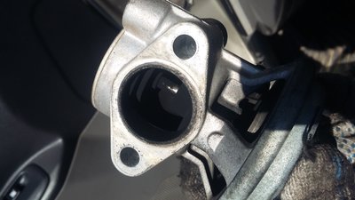 20160623_094328.jpg