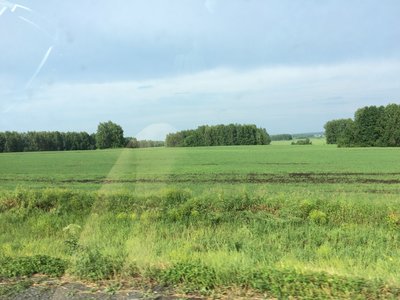IMG_2524.JPG