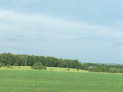 IMG_2525.JPG