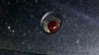 image.jpeg
