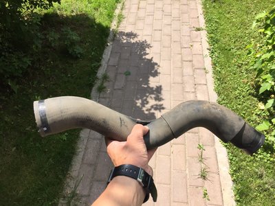 image.jpeg