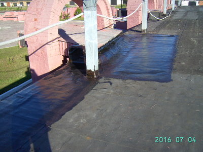 PICT3984.JPG