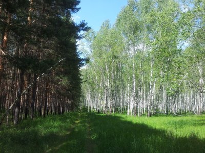 2016-06-16 14.51.30.jpg