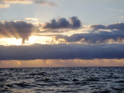 DSC02753.JPG (300.88 КБ) 2196 просмотров было и вот так красиво, спокойно, хорошо :) Это восход