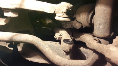 20160704_215134_resized.JPG