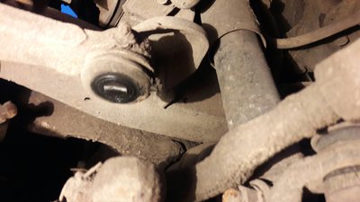 20160704_215237_resized.JPG