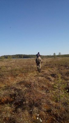 Почти добрались, озеро уже видно!