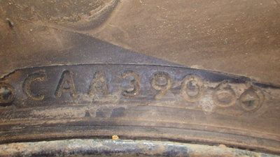 IMGP5387.JPG
