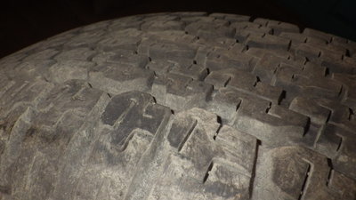 IMGP5390.JPG