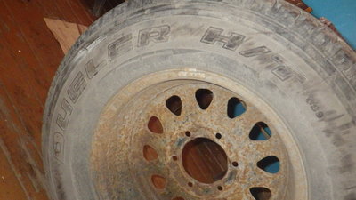 IMGP5391.JPG
