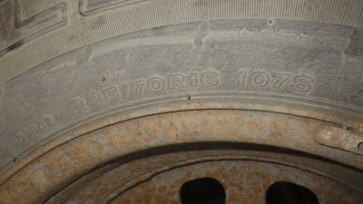 IMGP5392.JPG
