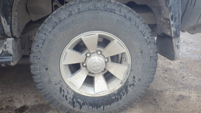 IMGP5411.JPG