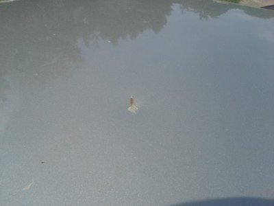 20160713_124343.jpg