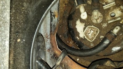 20160713_203149.jpg