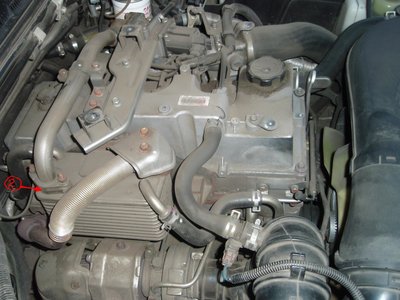 P9043804-EGR.JPG