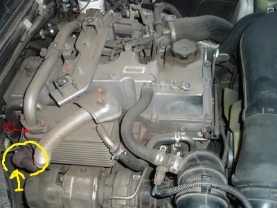 P9043804-EGR.JPG