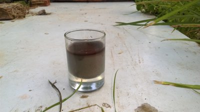 IMAG0663.jpg