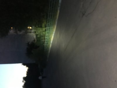 image.jpeg