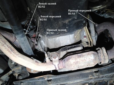 Расположение.jpg