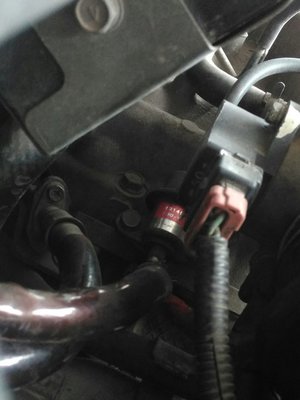 SjBeaclx158.jpg