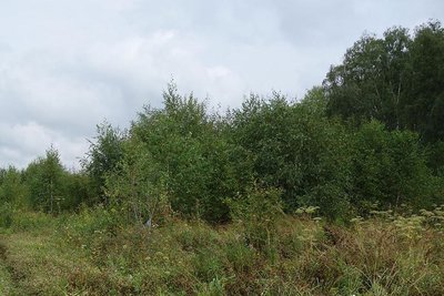 DSC07414.JPG