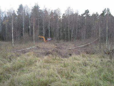 20131026_161058.jpg