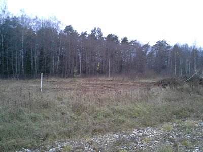 20131026_172044.jpg