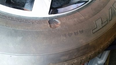 20160806_102450_resized.jpg