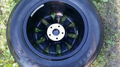 rps20160809_075737.jpg