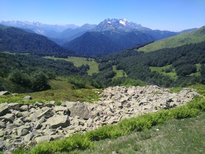 IMG_20160714_131430.jpg