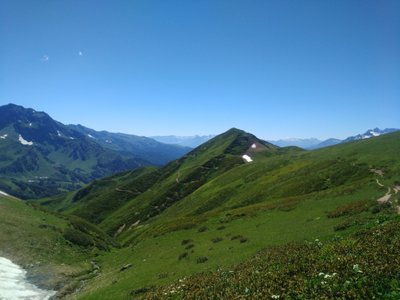 IMG_20160714_140906.jpg