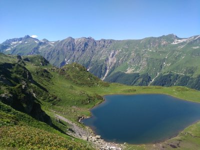 IMG_20160714_150721.jpg