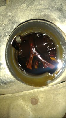 P_20160814_180149_1_p.jpg
